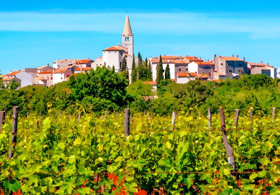 Bale, nella regione croata dell'Istria, è un luogo da visitare nel 2024 per tutti gli amanti della natura e della gastronomia.