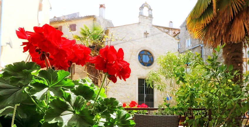 Franko apartamentos [5]