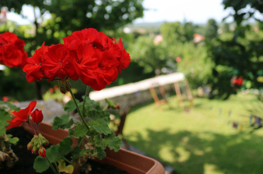 Bale - Valle Holiday Home [20]