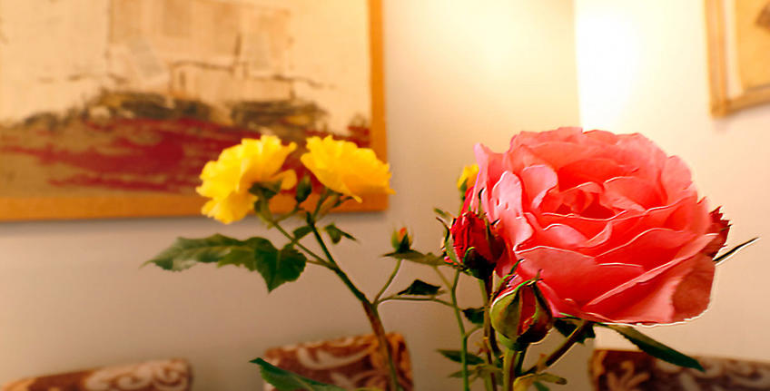 Porta No appartamenti [8]