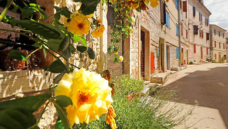 Apartamentos Porta No Apartamentos Porta No