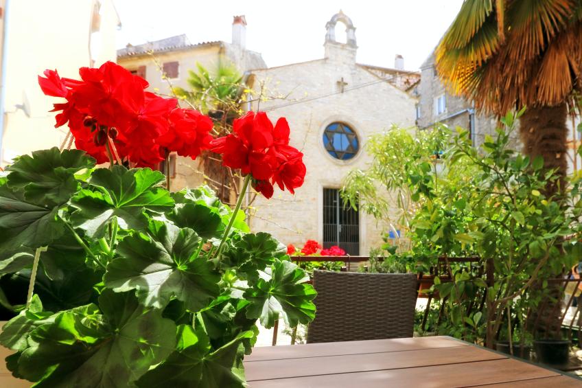 Guest House Franko [2]