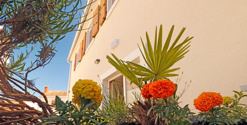 Dado apartmaj [4]