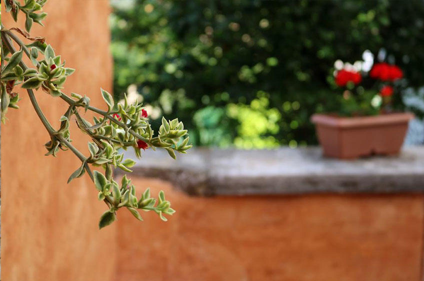 Bale - Valle Holiday Home [33]