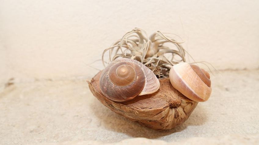 Hotel La Grisa Bale, kamer 104 [5]