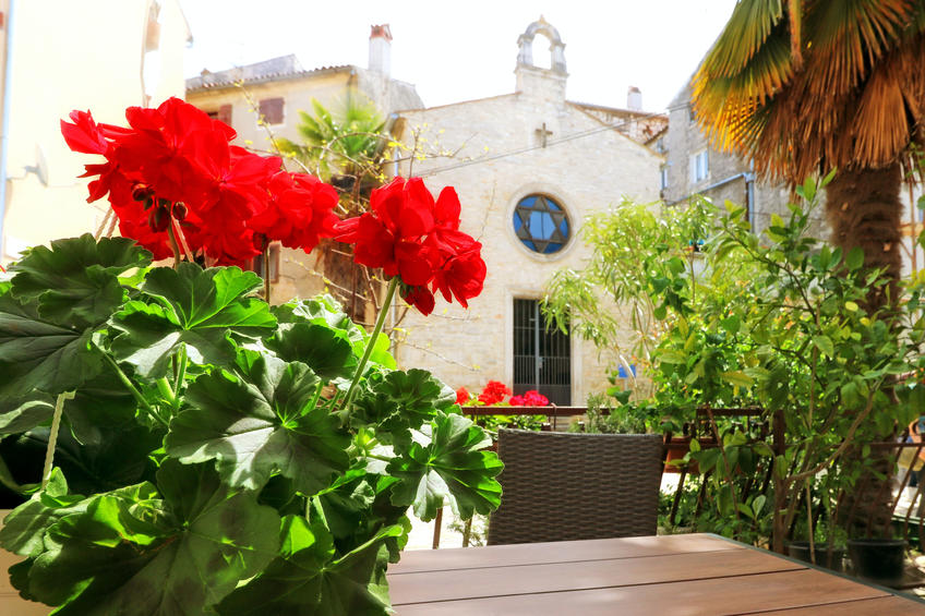 Guest House Franko [2]