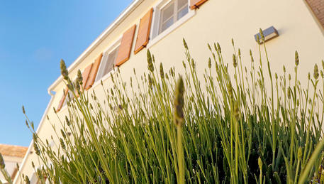 Dado apartments Dado apartments