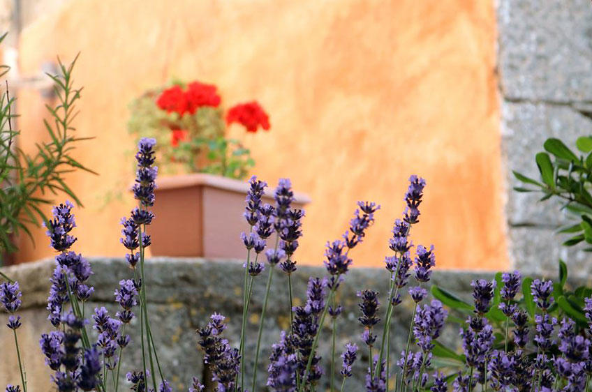 Bale - Valle Holiday Home [2]