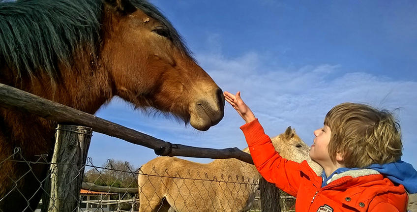 Ranch Albachiara [2]