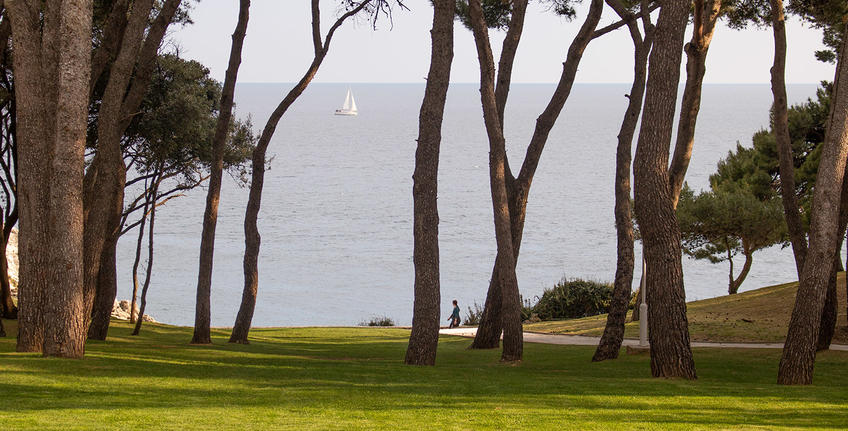 Havajka, Verudela [3]