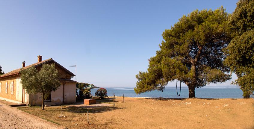 Benedetto [4]