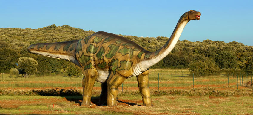 Bale Aqua y Paleo Park [2]