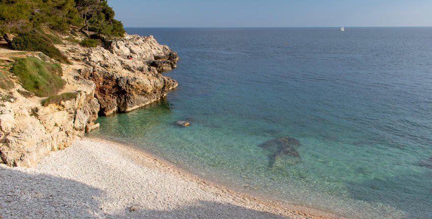 Havajka, Verudela [9]