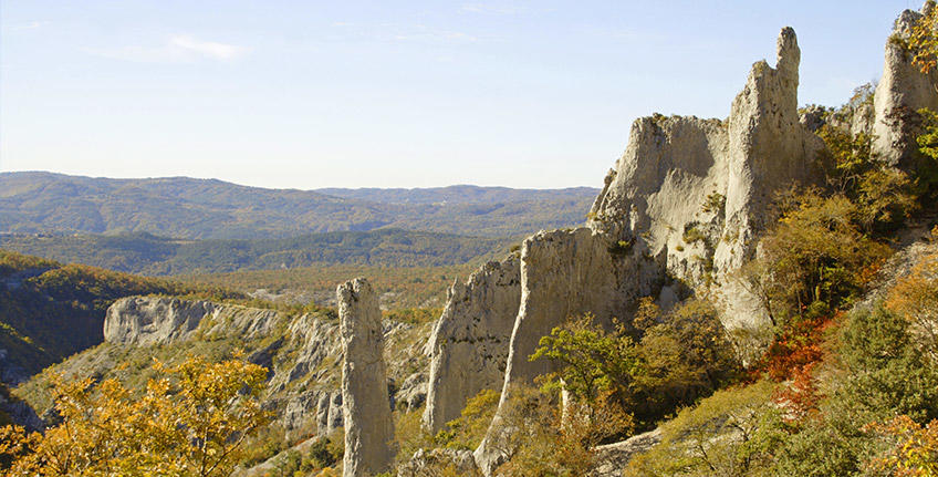 Vranjska draga