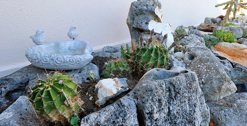 Ranch Albachiara [8]