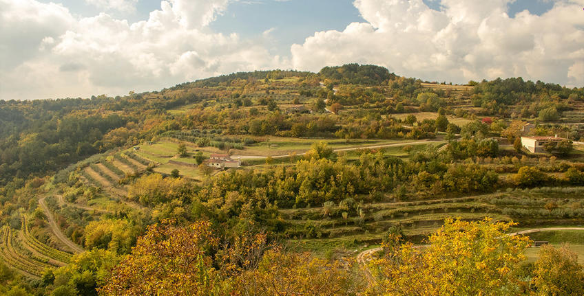 Bike and hiking trail Parenzana