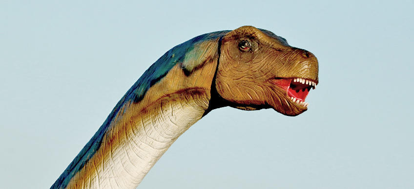 Bale Aqua y Paleo Park [5]