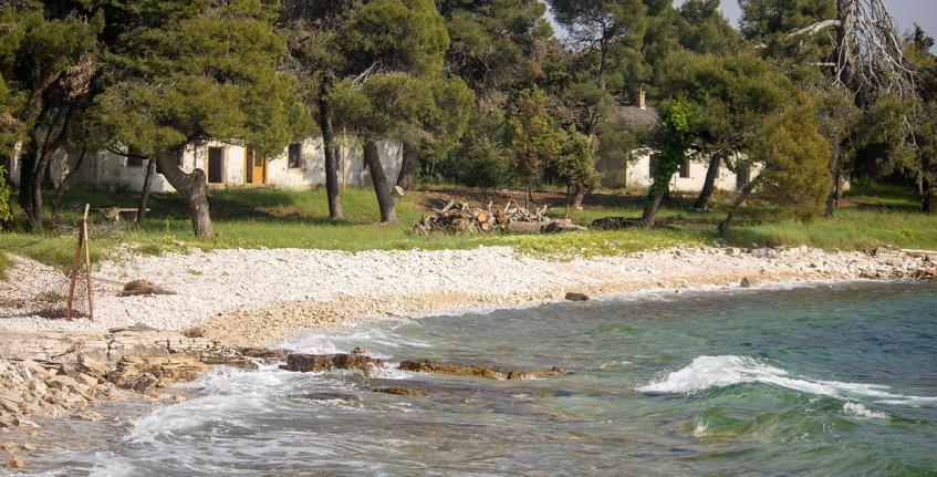 Lunga [4]