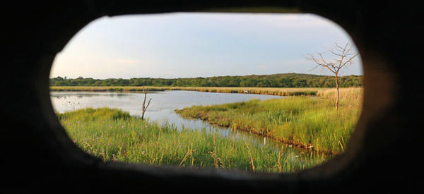 Vogelbeobachtung - Palud [6]