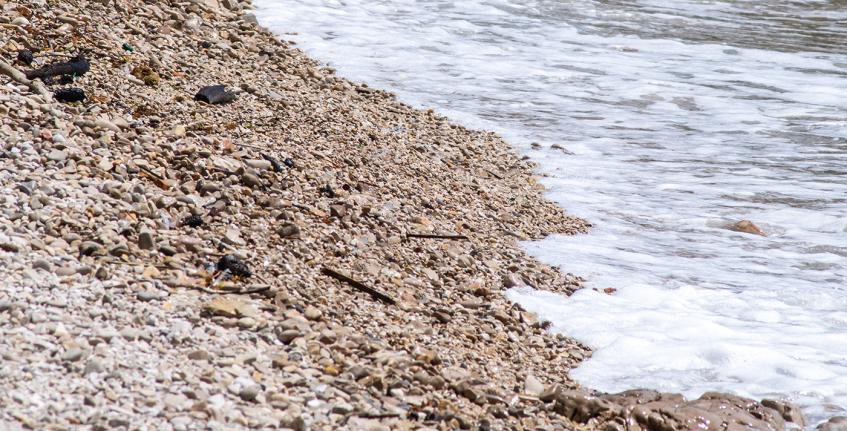 Spiaggia di Škaraba [4]