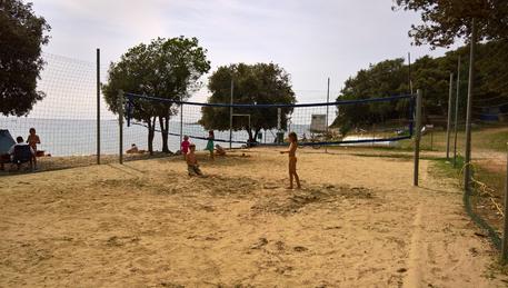 Voleibol de playa Colone Voleibol de playa Colone