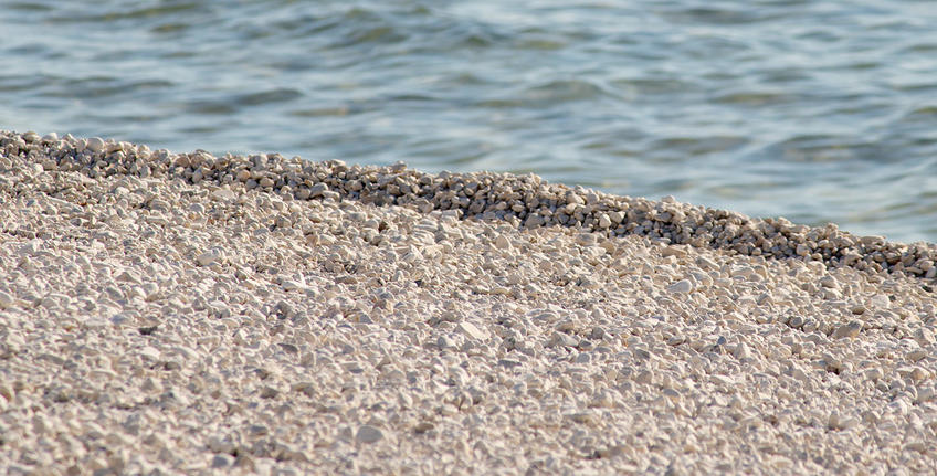 Bi Village, Fažana [3]