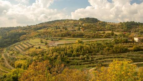 Bike and hiking trail Parenzana