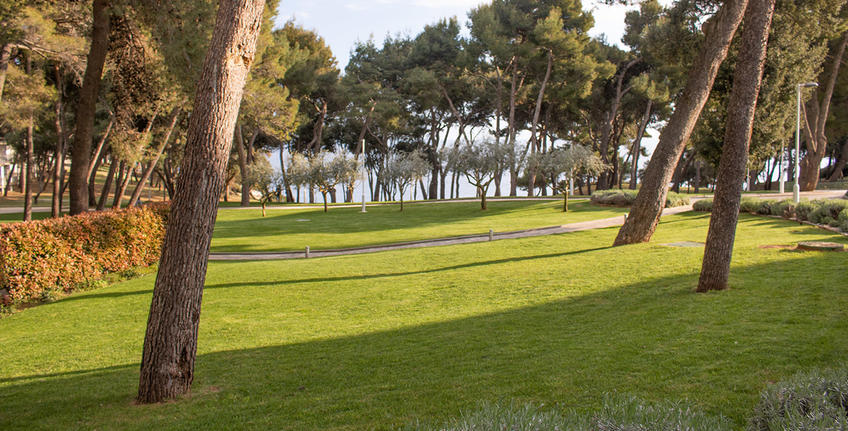 Havajka, Verudela [4]