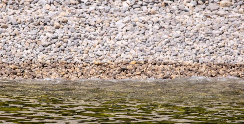 Medveja - Cesara [3]