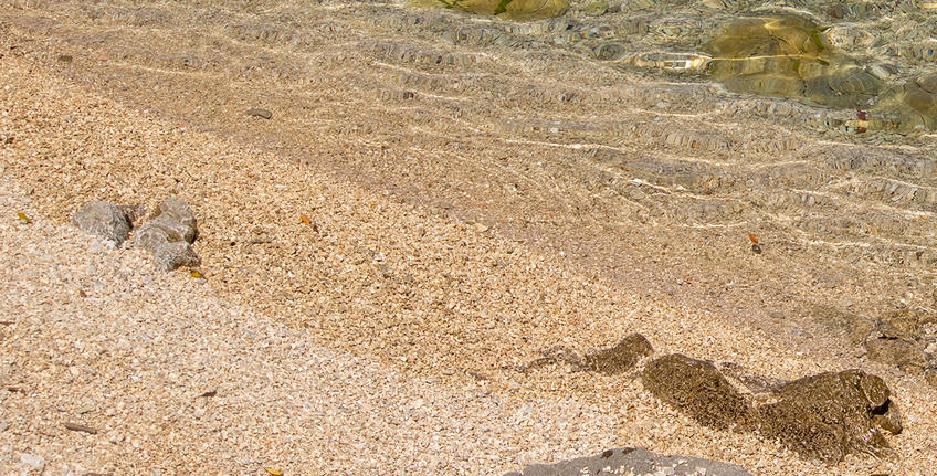 Punta Corrente, Rovinj [4]