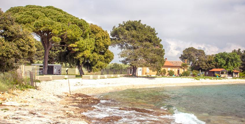 Benedetto [1]