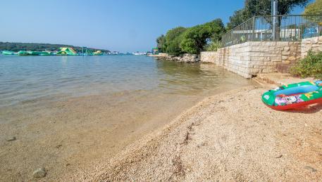 Bay Veštar