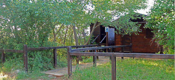 Vogelbeobachtung - Palud [5]