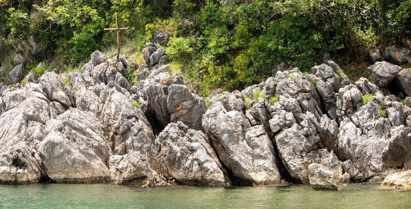 Medveja - Cesara [5]