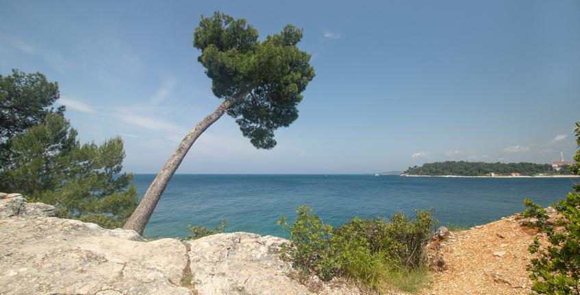 Punta Corrente [6]