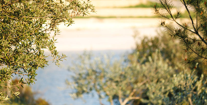 Pješčana uvala, Medulin [6]