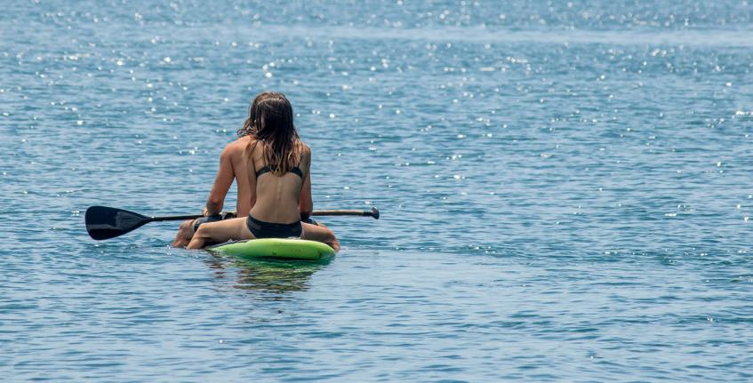 Medveja - Cesara [6]