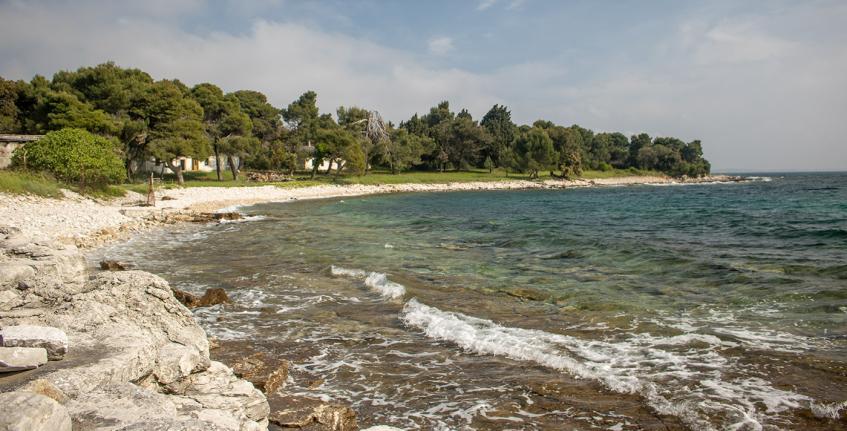 Lunga [7]