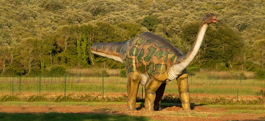 Bale Aqua y Paleo Park [16]