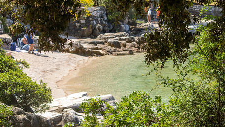 Punta Corrente, Rovinj