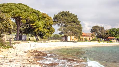 Benedetto