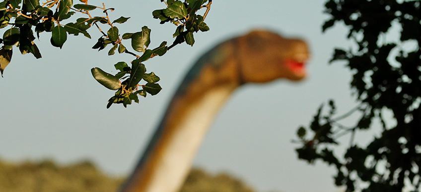 Vodni in Paleo park Bale [15]