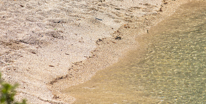 Punta Corrente, Rovinj [8]