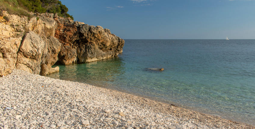 Havajka, Verudela [7]