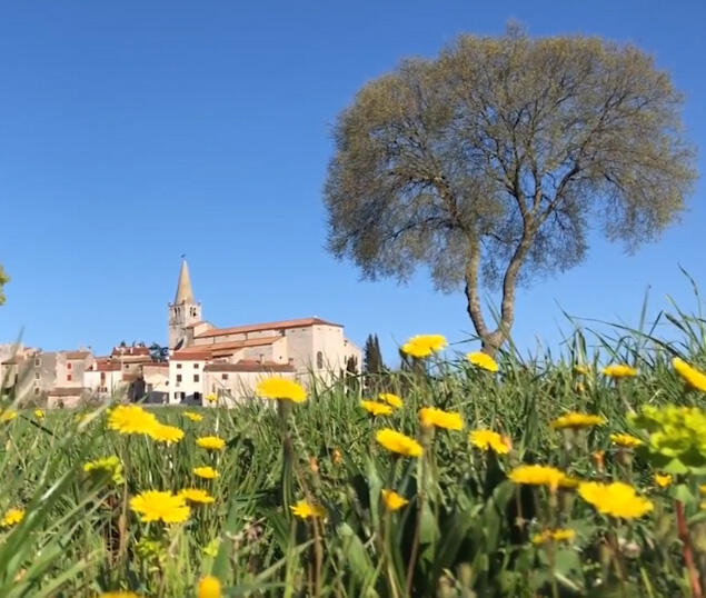 10 stvari koje ne morate vidjeti u Istri