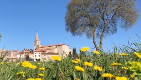 10 stvari koje ne morate vidjeti u Istri