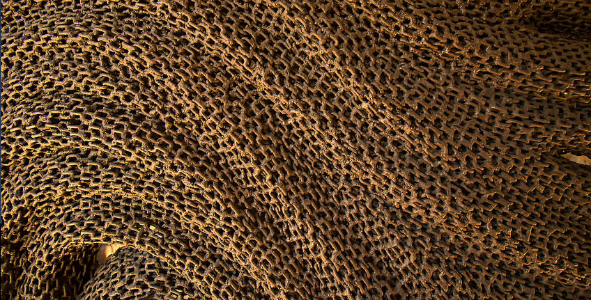 Skulpturenpark des Dušan Džamonja [27]