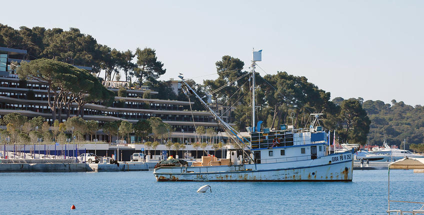 The Hitman's Wife's Bodyguard (2019) [10]