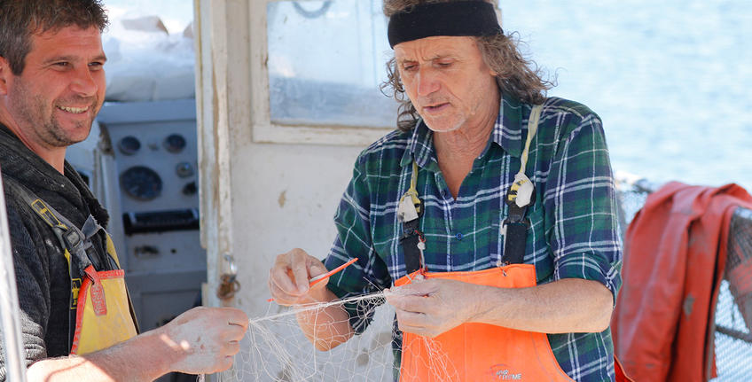 The Hitman's Wife's Bodyguard (2019) [11]