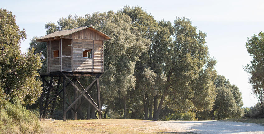 RTL show Fittest family [7]